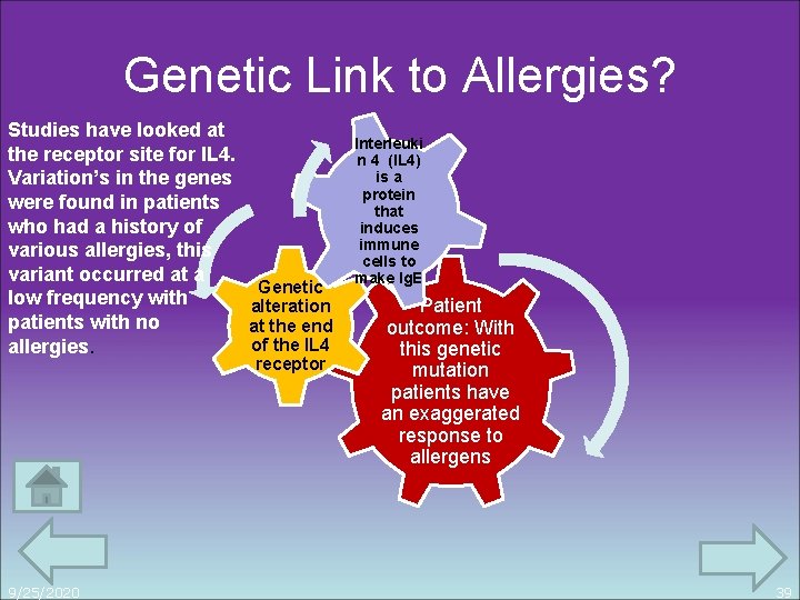 Genetic Link to Allergies? Studies have looked at the receptor site for IL 4.
