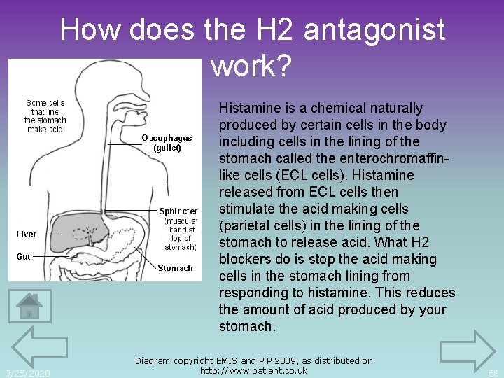 How does the H 2 antagonist work? Histamine is a chemical naturally produced by