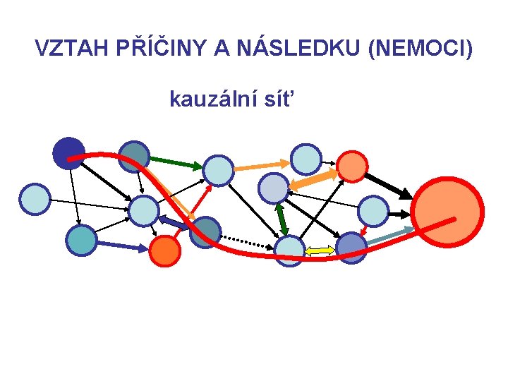 VZTAH PŘÍČINY A NÁSLEDKU (NEMOCI) kauzální síť 