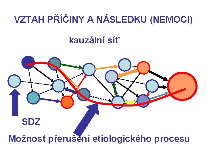 VZTAH PŘÍČINY A NÁSLEDKU (NEMOCI) kauzální síť SDZ Možnost přerušení etiologického procesu 
