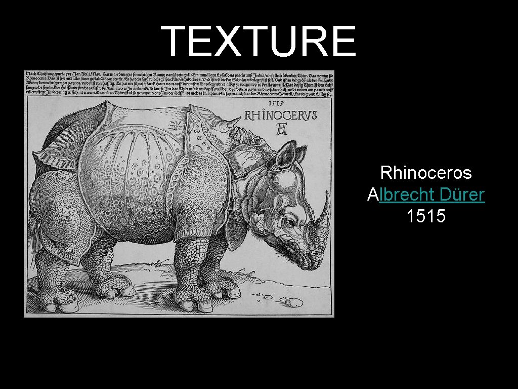 TEXTURE Rhinoceros Albrecht Dürer 1515 