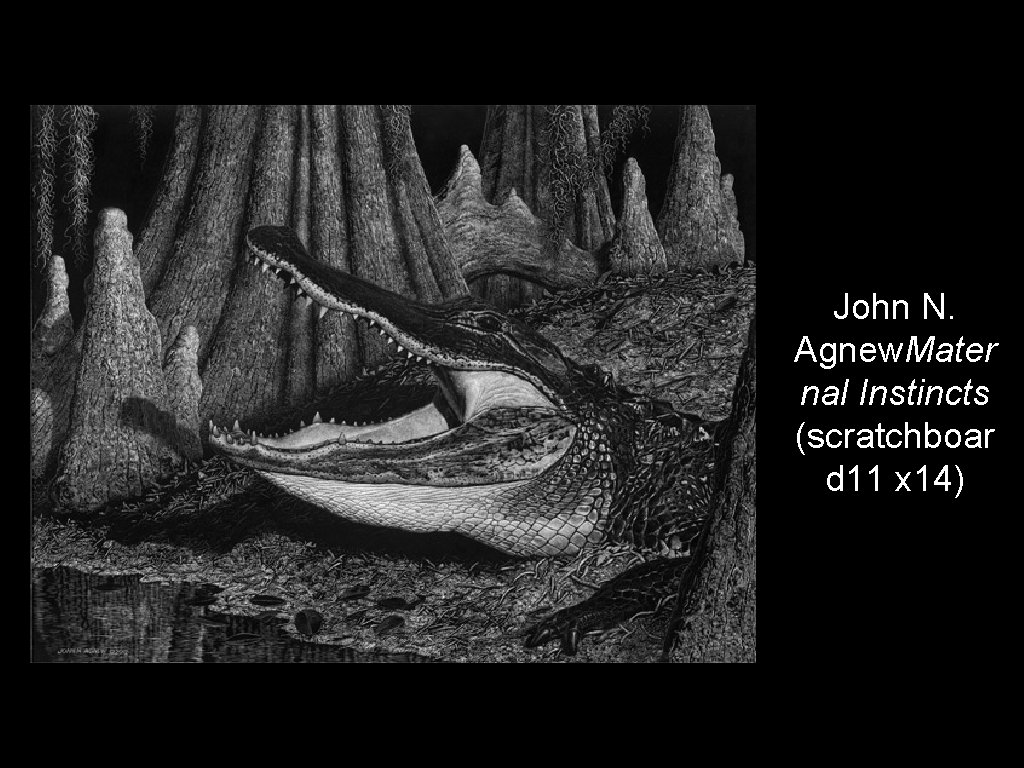 John N. Agnew. Mater nal Instincts (scratchboar d 11 x 14) 