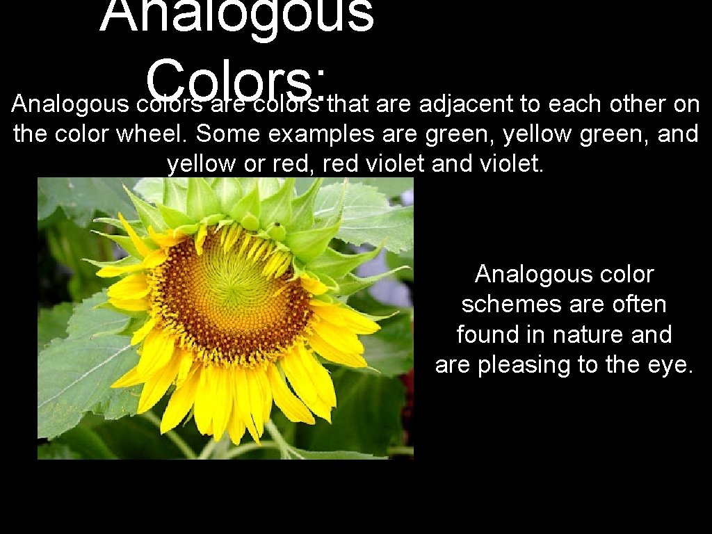 Analogous Colors: Analogous colors are colors that are adjacent to each other on the