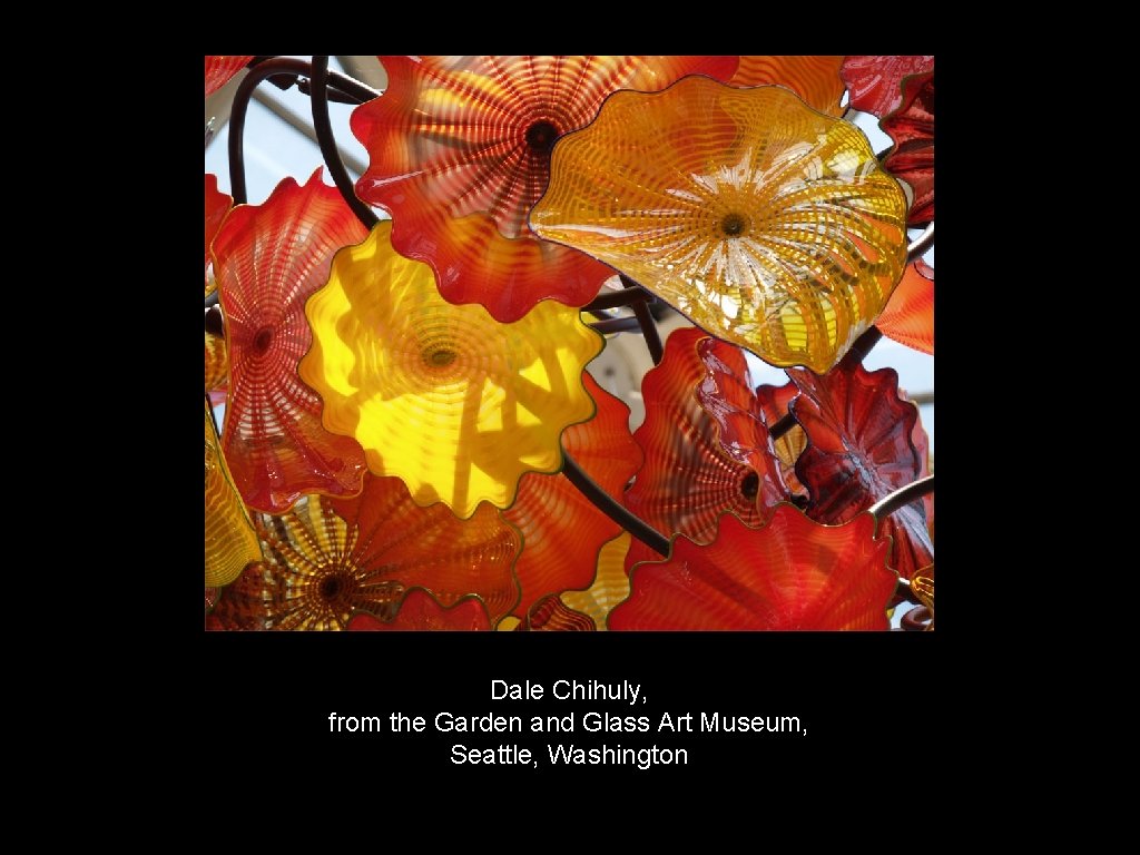 Dale Chihuly, from the Garden and Glass Art Museum, Seattle, Washington 