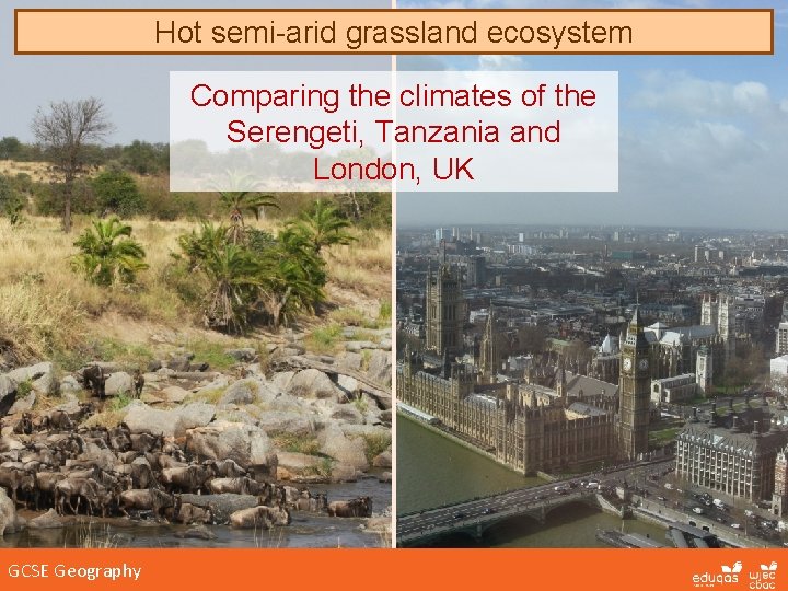 Hot semi-arid grassland ecosystem Comparing the climates of the Serengeti, Tanzania and London, UK