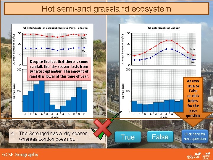 Hot semi-arid grassland ecosystem Despite the fact that there is some rainfall, the ‘dry