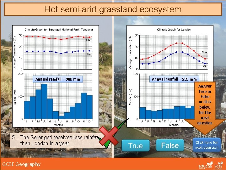 Hot semi-arid grassland ecosystem Annual rainfall = 980 mm Annual rainfall = 595 mm