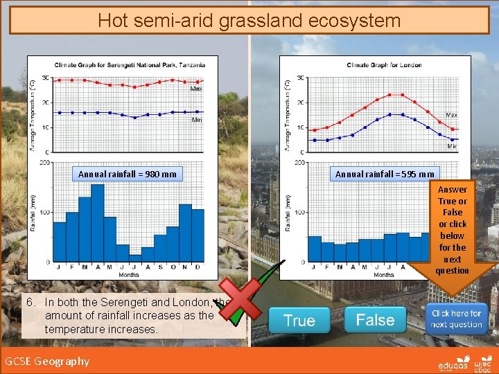 Hot semi-arid grassland ecosystem Annual rainfall = 980 mm Annual rainfall = 595 mm