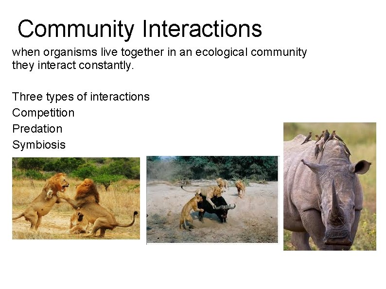 Community Interactions when organisms live together in an ecological community they interact constantly. Three