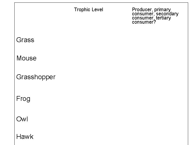 Trophic Level Grass Mouse Grasshopper Frog Owl Hawk Producer, primary consumer, secondary consumer, tertiary