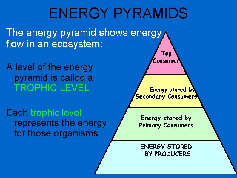 ENERGY PYRAMIDS The energy pyramid shows energy flow in an ecosystem: A level of