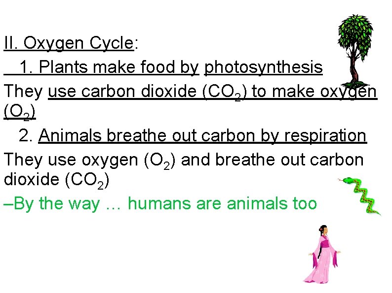 II. Oxygen Cycle: 1. Plants make food by photosynthesis They use carbon dioxide (CO