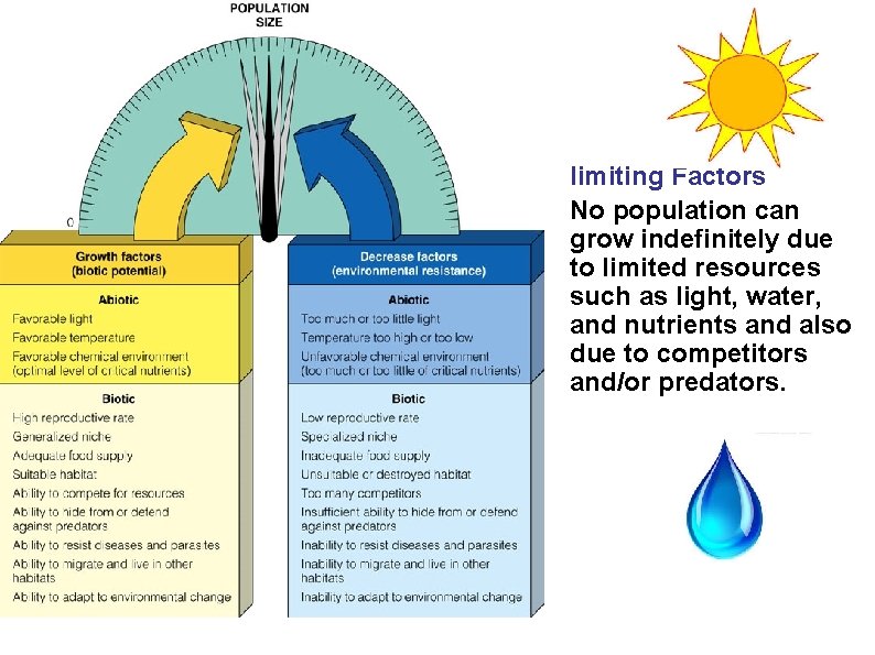 limiting Factors No population can grow indefinitely due to limited resources such as light,