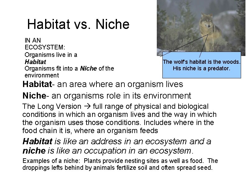 Habitat vs. Niche IN AN ECOSYSTEM: Organisms live in a Habitat Organisms fit into