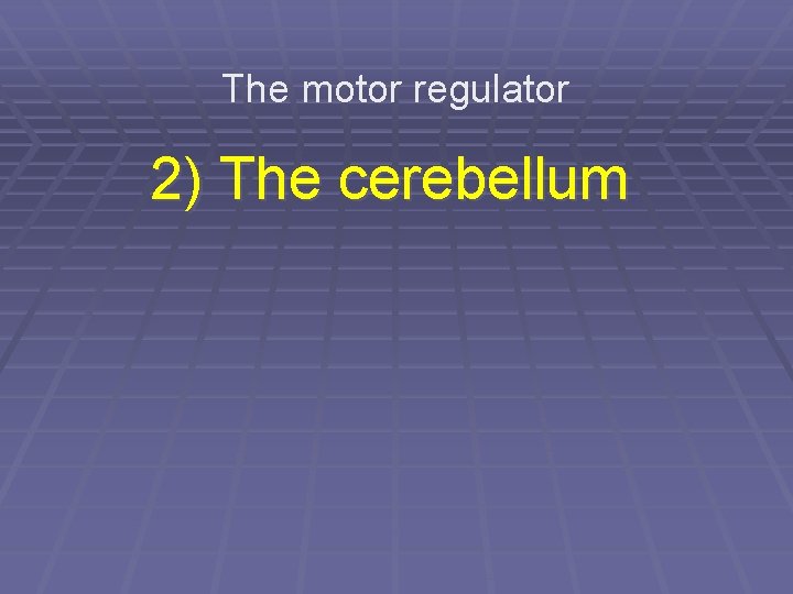 The motor regulator 2) The cerebellum 