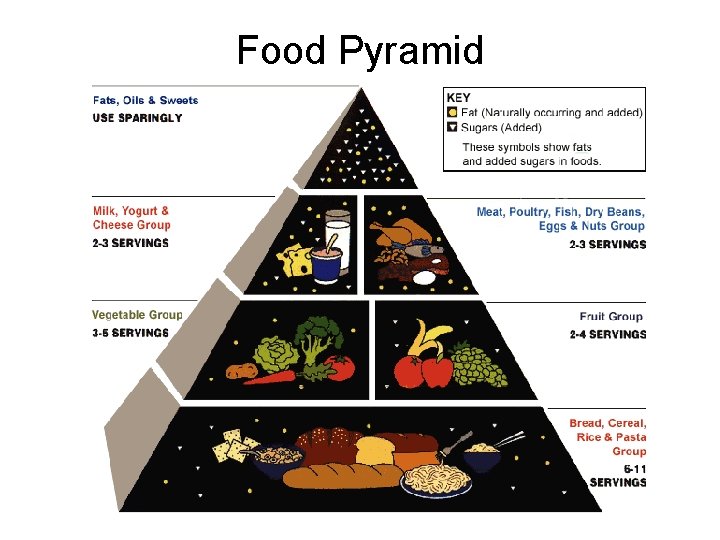 Food Pyramid 