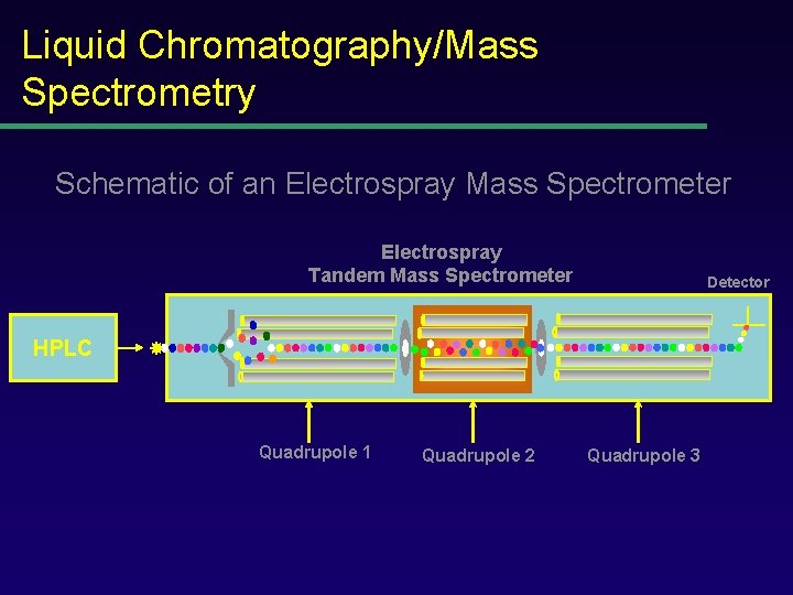 Liquid Chromatography/Mass Spectrometry Schematic of an Electrospray Mass Spectrometer Electrospray Tandem Mass Spectrometer Detector