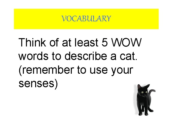 VOCABULARY Think of at least 5 WOW words to describe a cat. (remember to