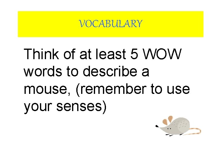 VOCABULARY Think of at least 5 WOW words to describe a mouse, (remember to