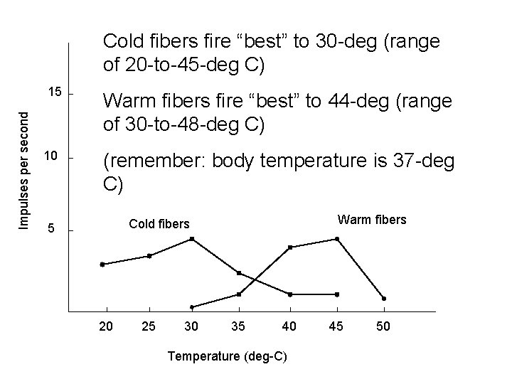 Cold fibers fire “best” to 30 -deg (range of 20 -to-45 -deg C) Impulses