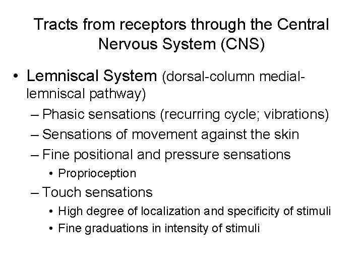 Tracts from receptors through the Central Nervous System (CNS) • Lemniscal System (dorsal-column mediallemniscal