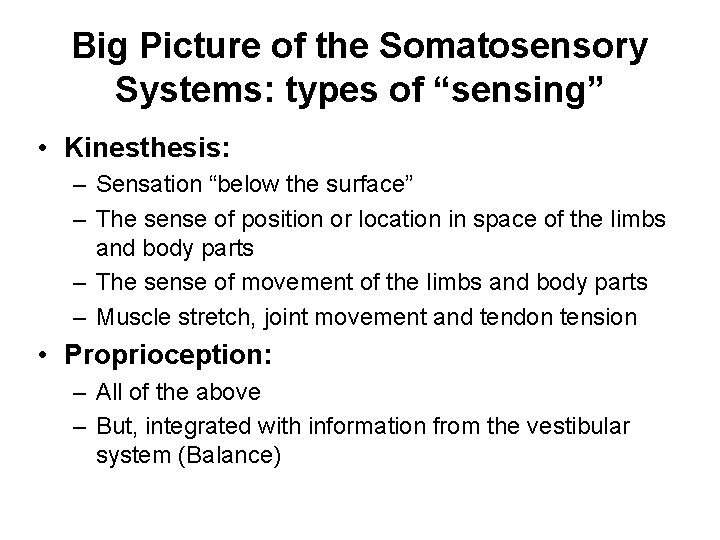Big Picture of the Somatosensory Systems: types of “sensing” • Kinesthesis: – Sensation “below