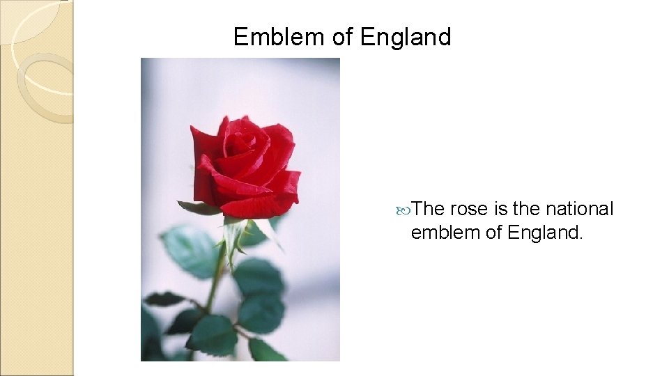 Emblem of England The rose is the national emblem of England. 