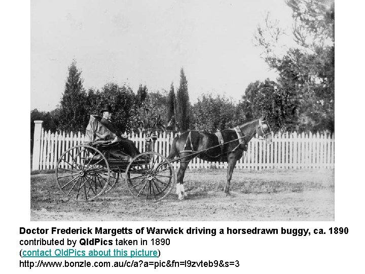 Doctor Frederick Margetts of Warwick driving a horsedrawn buggy, ca. 1890 contributed by Qld.