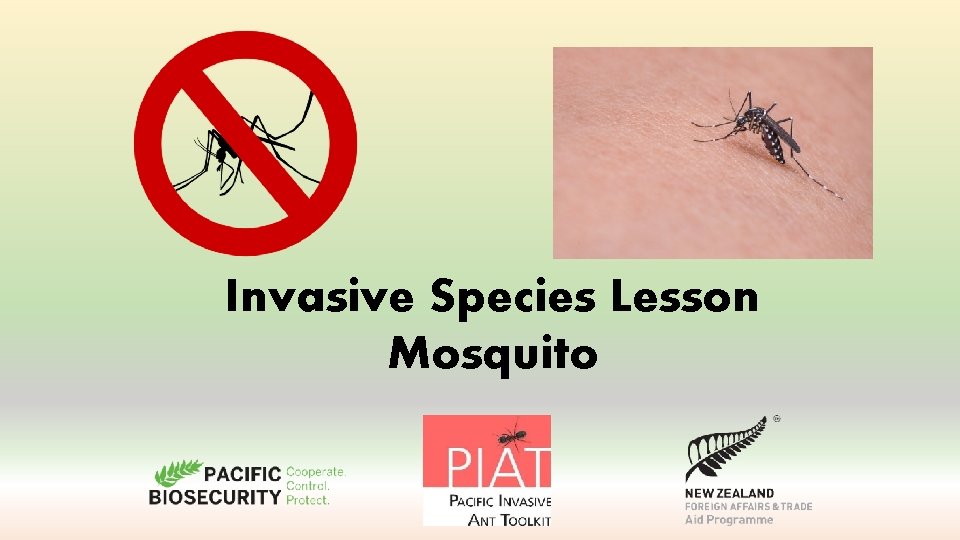 Invasive Species Lesson Mosquito What are we going