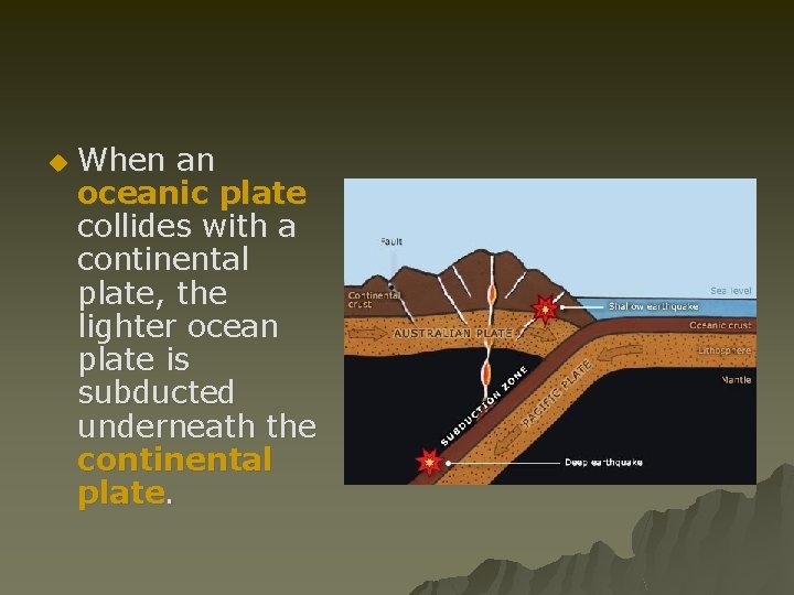 u When an oceanic plate collides with a continental plate, the lighter ocean plate