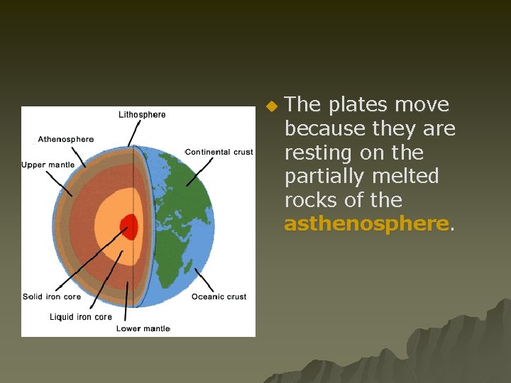 u The plates move because they are resting on the partially melted rocks of