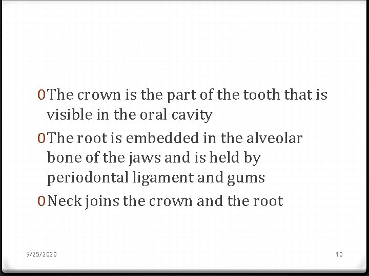 0 The crown is the part of the tooth that is visible in the