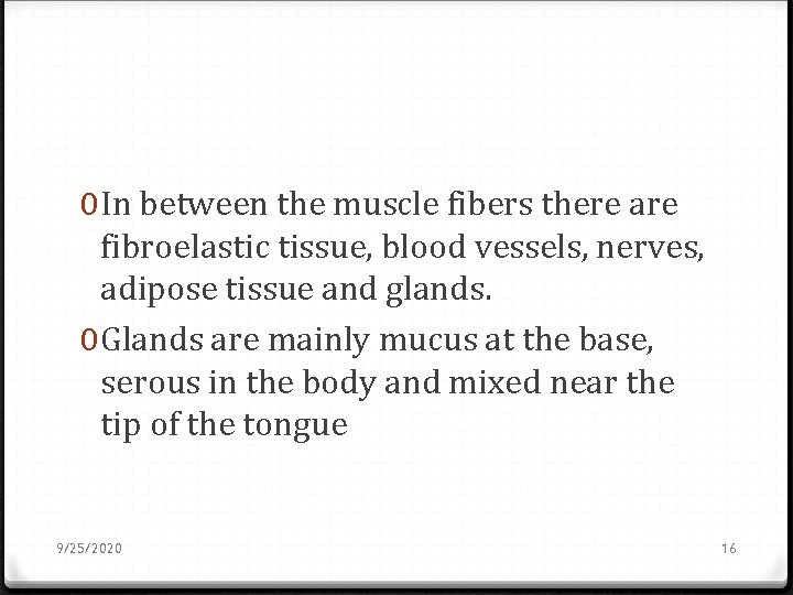 0 In between the muscle fibers there are fibroelastic tissue, blood vessels, nerves, adipose