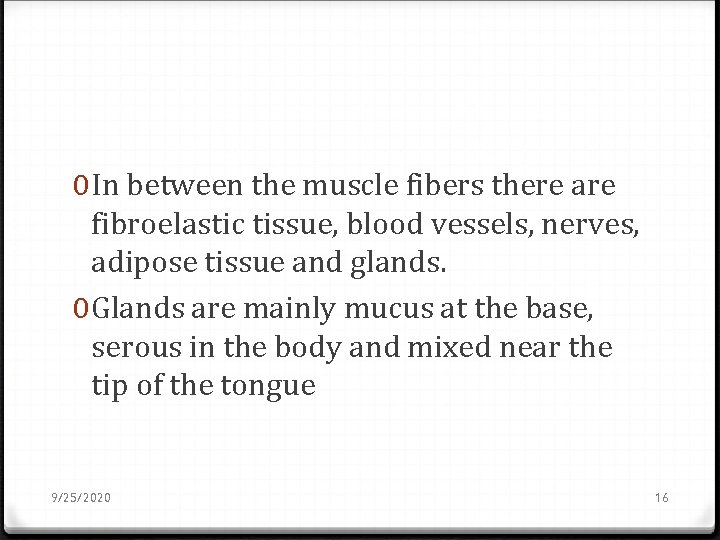 0 In between the muscle fibers there are fibroelastic tissue, blood vessels, nerves, adipose