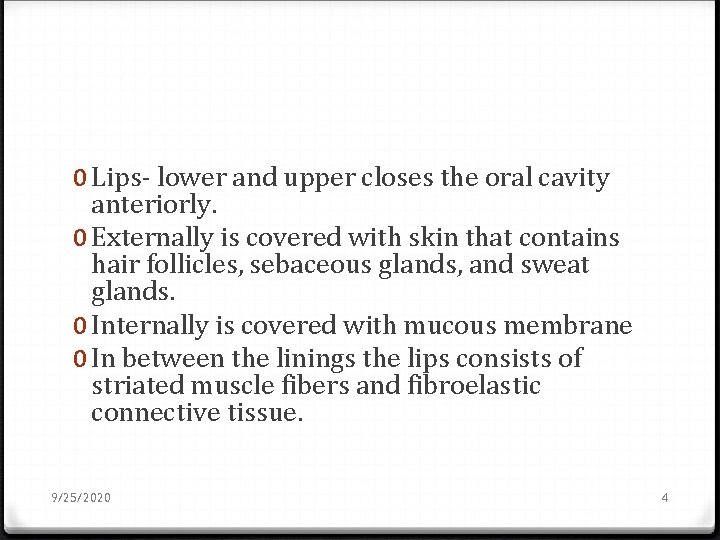 0 Lips- lower and upper closes the oral cavity anteriorly. 0 Externally is covered