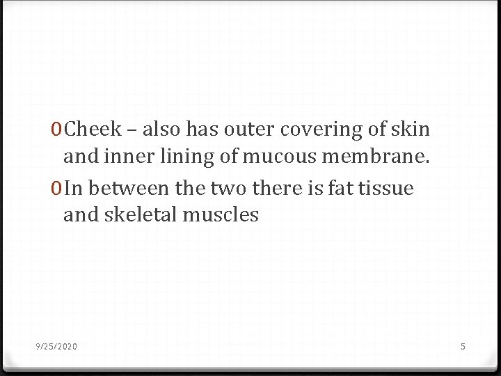 0 Cheek – also has outer covering of skin and inner lining of mucous