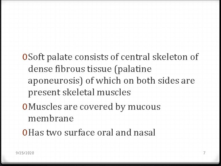 0 Soft palate consists of central skeleton of dense fibrous tissue (palatine aponeurosis) of