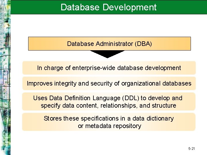 Database Development Database Administrator (DBA) In charge of enterprise-wide database development Improves integrity and