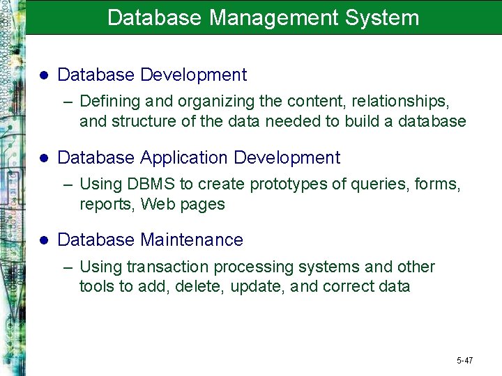 Database Management System l Database Development – Defining and organizing the content, relationships, and