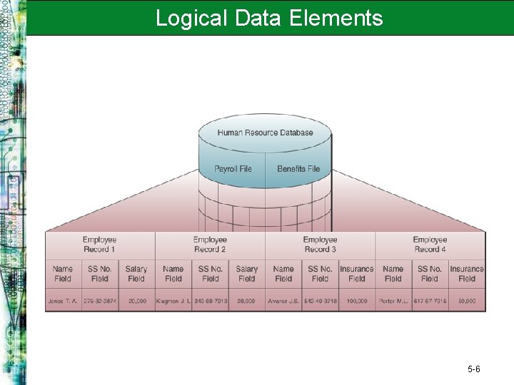 Logical Data Elements 5 -6 