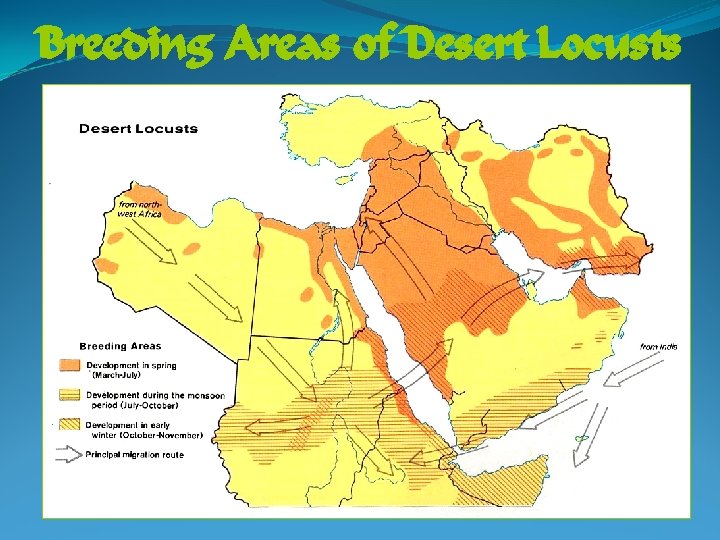 Breeding Areas of Desert Locusts 