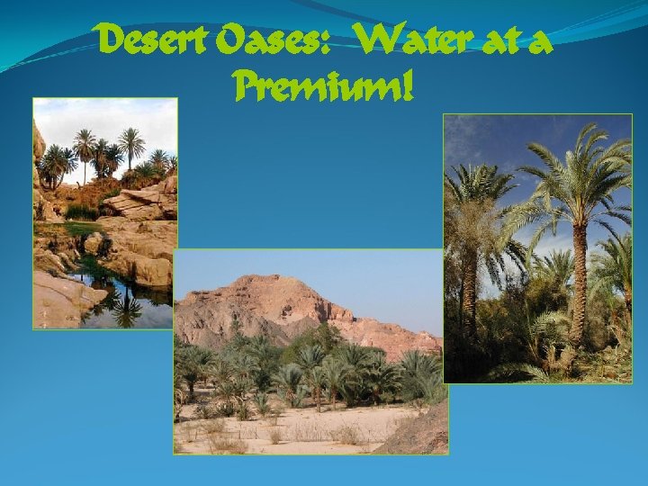 Desert Oases: Water at a Premium! 