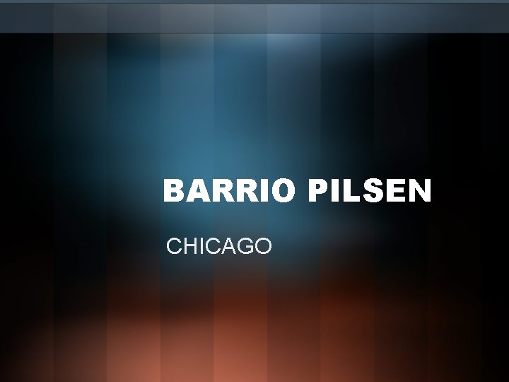 BARRIO PILSEN CHICAGO 