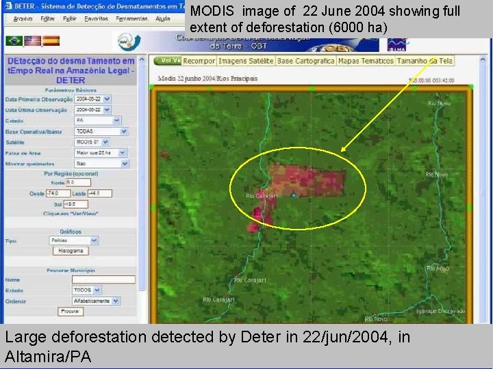 MODIS image of 22 June 2004 showing full extent of deforestation (6000 ha) Large MODIS image of 22 June 2004 showing full extent of deforestation (6000 ha) Large