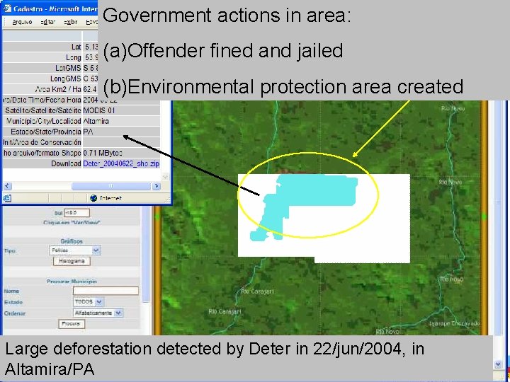 Government actions in area: (a)Offender fined and jailed (b)Environmental protection area created Large deforestation Government actions in area: (a)Offender fined and jailed (b)Environmental protection area created Large deforestation