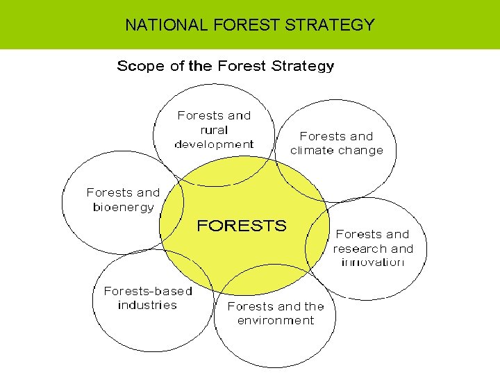 NATIONAL FOREST STRATEGY 