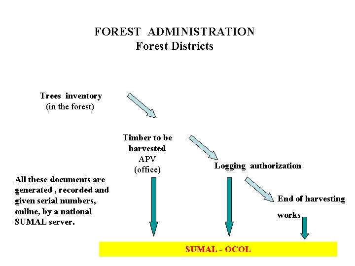 FOREST ADMINISTRATION Forest Districts Trees inventory (in the forest) All these documents are generated