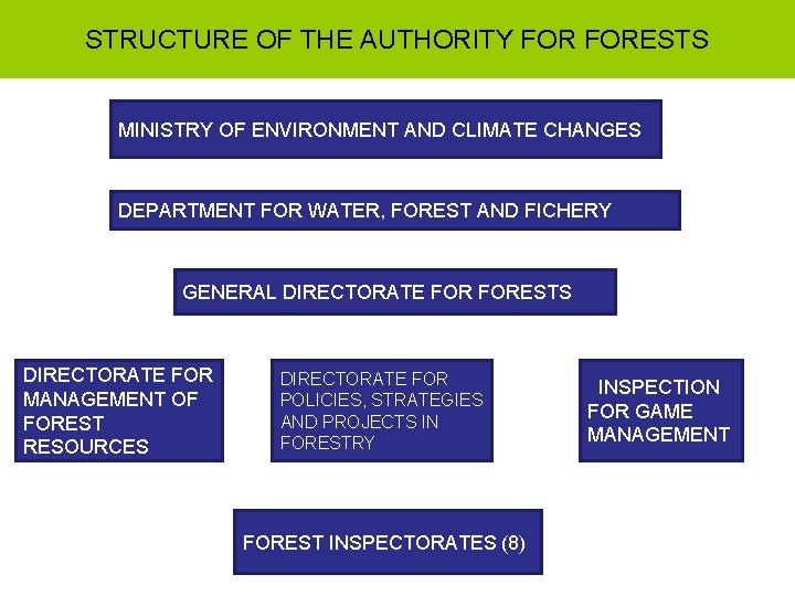 STRUCTURE OF THE AUTHORITY FORESTS MINISTRY OF ENVIRONMENT AND CLIMATE CHANGES DEPARTMENT FOR WATER,