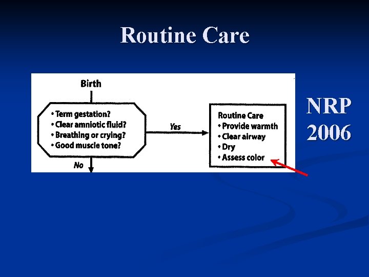 Routine Care NRP 2006 