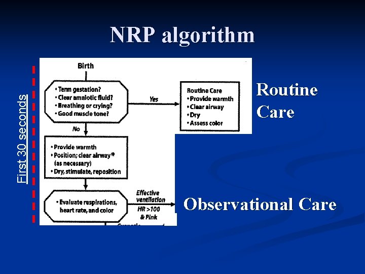 First 30 seconds NRP algorithm Routine Care Observational Care 